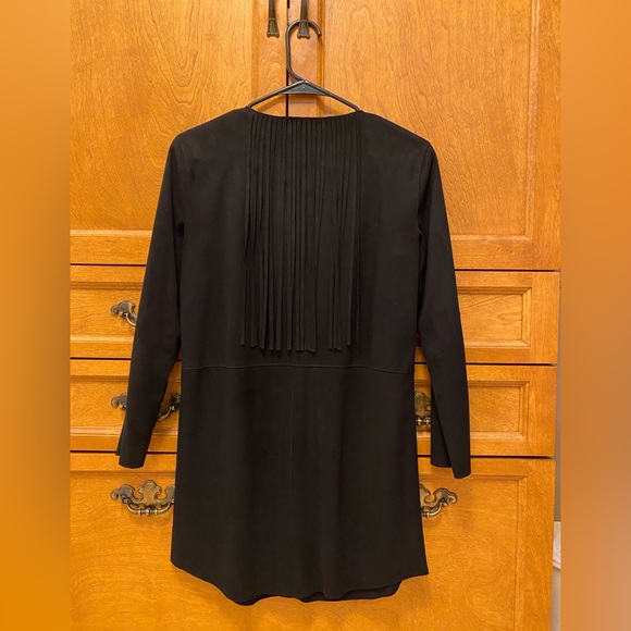 Zara faux suede fringe dress - Picture 3 of 4